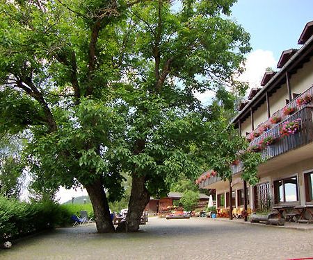 Hotel Ganzaie Val di Fiemme Extérieur photo